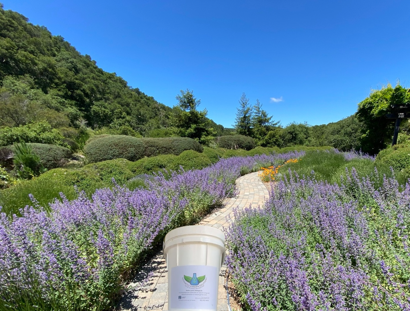 Biological Fertilizers & Soil Health Products