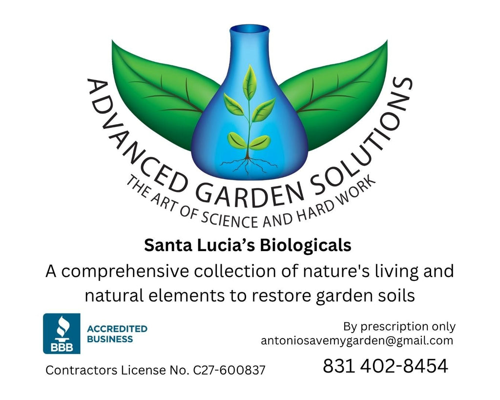 Santa Lucia's Biologicals